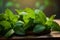 A bunch of fresh, vibrant green mint on a wooden plate with a slightly blurred background