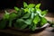 A bunch of fresh, vibrant green mint on a wooden plate with a slightly blurred background