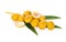 Bunch of fresh yellow dates with leaf on white background