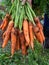 A bunch of freshly dug carrots