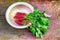 Bunch of freshly picked and washed salad radishes