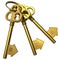 Bunch of golden house-shape keys