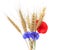 Bunch of golden wheat ears with red poppy and blue cornflowers o