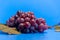 Bunch of grape Vitis labrusca of variant Niagara on blue background