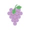 Bunch grapes fresh fruit harvest design icon