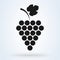 Bunch of grapes. Grapevine with leaf. Vector illustration