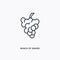Bunch of grapes outline icon. Simple linear element illustration. Isolated line Bunch of grapes icon on white background. Thin