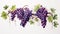 A bunch of grapes, their deep purple hue set off by intricate grape blossoms and leaves