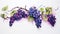 A bunch of grapes, their deep purple hue set off by intricate grape blossoms and leaves