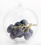 The bunch of grapes in translucent sphere