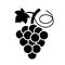 Bunch of grapes vector icon