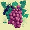 Bunch of grapes for wine with leaves on green background.