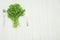 A bunch of green arugula in a white plate on a light background