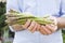 Bunch of green asparagus in gardener\'s hands close up