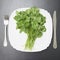 Bunch of green parsley in white plate on gray background