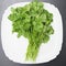 Bunch of green parsley in white plate on gray background