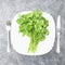 Bunch of green parsley in white plate on gray background