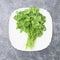 Bunch of green parsley in white plate on gray background