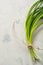 A bunch of green spring onions tied with a rope on a light stone background.