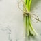 A bunch of green spring onions tied with a rope on a light stone background.