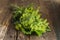 Bunch of herbs and spices for home preservation of products. A bunch of dill, horseradish leaves, currant branches and raspberries