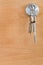 Bunch of home keys in lock of wood door