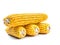 Bunch of husked sweet corn cobs on white