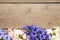 Bunch of hyacinths flower on a grey wooden background