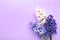 Bunch of hyacinths flower on a purple background