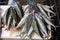 Bunch of Indian mackerel Rastrelliger kanagurta fish on a market stall in Victoria town, Mahe, Seychelles