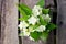 Bunch of jasmine flowers on wooden table