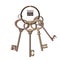 Bunch of keys metal chrome decorative unlock steel elements