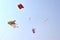 Bunch of Kites at International Kite Festival, Ahmedabad