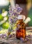 Bunch of lavandula or lavender flowers and oil bottle are on the