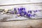 Bunch of lavender flowers with snail on an old wood table