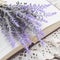 Bunch of lavender laying upon open book on vintage doily