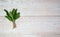 A bunch of leaves of fresh spicy spring green sorrel on a light wooden background.