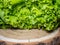 Bunch of lettuce on a wooden tray. Salad concept. Vitamin of natural origin. Leaves up close. Grass background for food. Useful