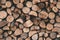 A bunch of logs. Firewood texture. Brown wooden lumber background. Old wall wood vintage texture. Grunge wooden rustic textured, w