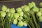 Bunch of lotus flowers for offerings Buddha in Buddhist religious ceremony