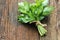 Bunch of lovage herb on wooden background