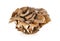 Bunch of Maitake mushroom on white