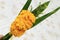 Bunch of marigold and pandanus leaf - flowers for offerings Buddha.