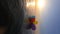 Bunch multi-colored balloons tied ribbon floating surface sea water sunset dawn