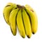 Bunch of Nanica Banana