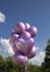 bunch of one-color purple-pink helium balloons against the sky