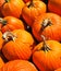 Bunch of orange round pumpkins