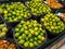 Bunch of oranges in supermarket