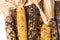 Bunch of organic dried multicolored corn on the cob ready to pop popcorn or grit