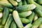 A bunch of organic fresh cucumber on a basket close up shot